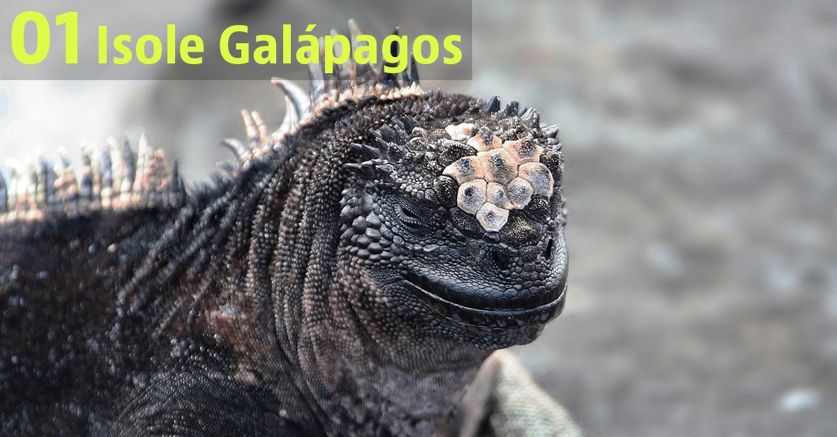 I 10 Paesi da (non) visitare nel 2018