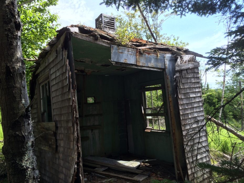 img_1494-copy-930x698