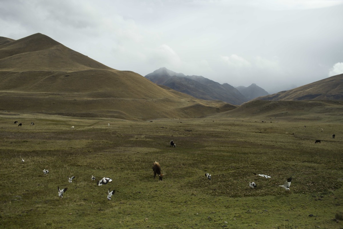 L'esenzione Imu per i comuni montani e parzialmenti montani è legittima