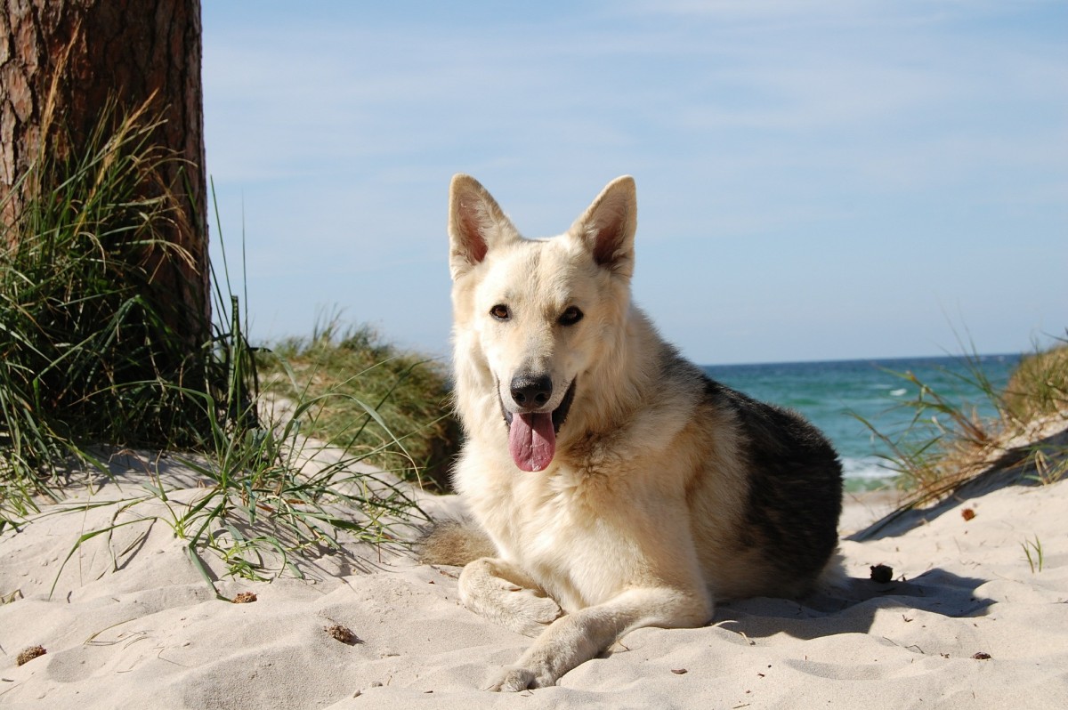 Um momento relaxante na praia