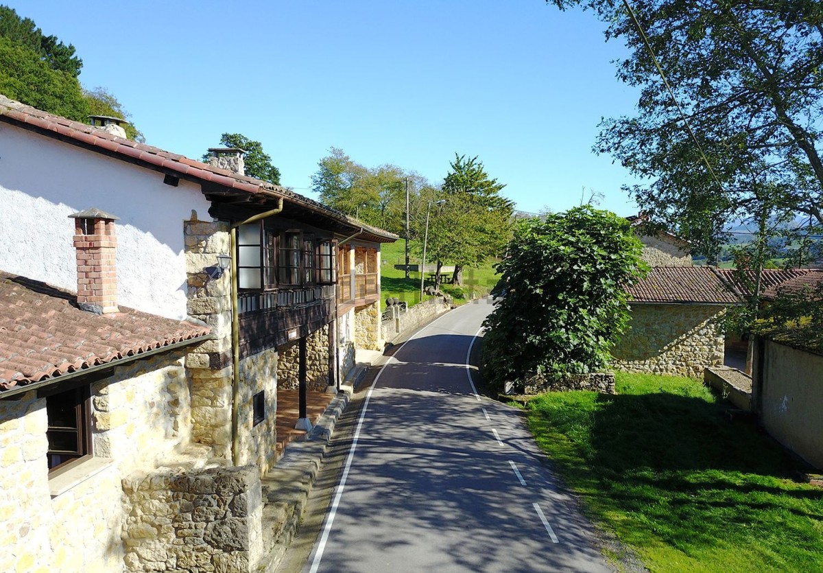 C'è molta vegetazione