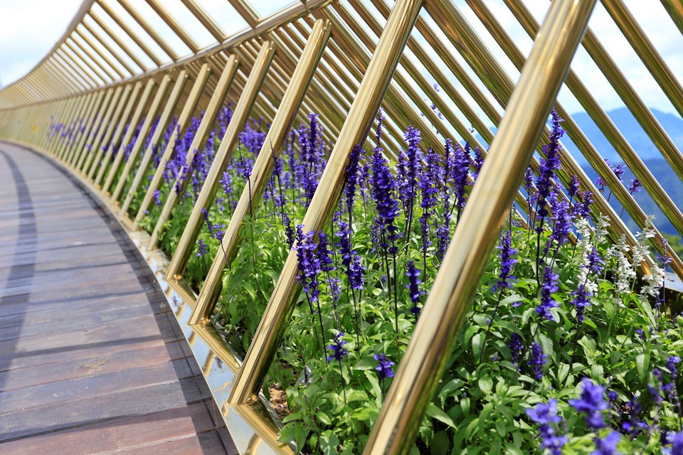 Immerso nella vegetazione