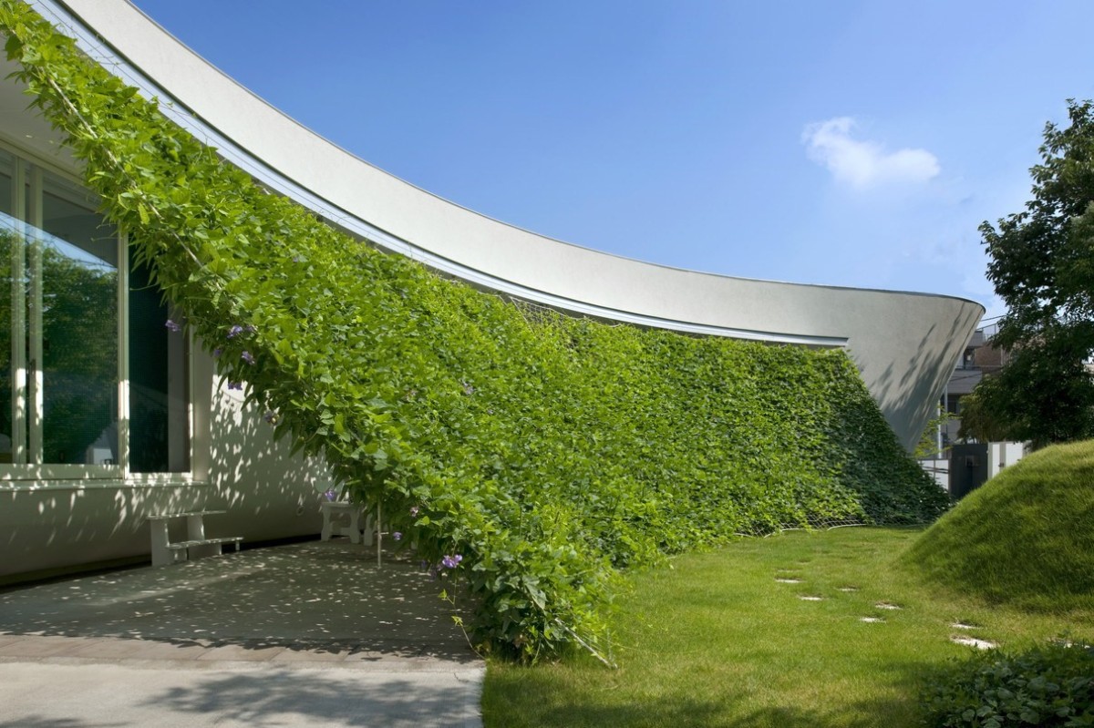 Sotto l'erba si nasconde un patio