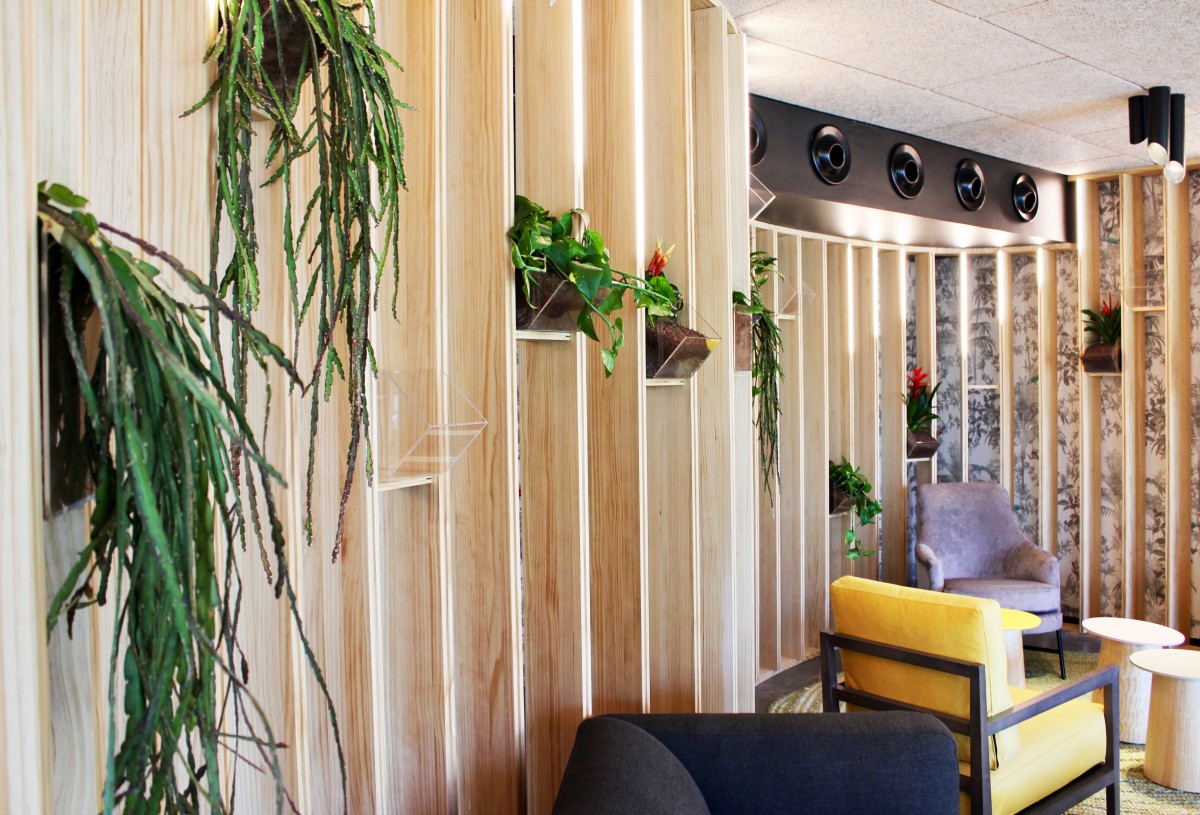 Decorare casa con le piante grasse, i consigli dell’interior designer