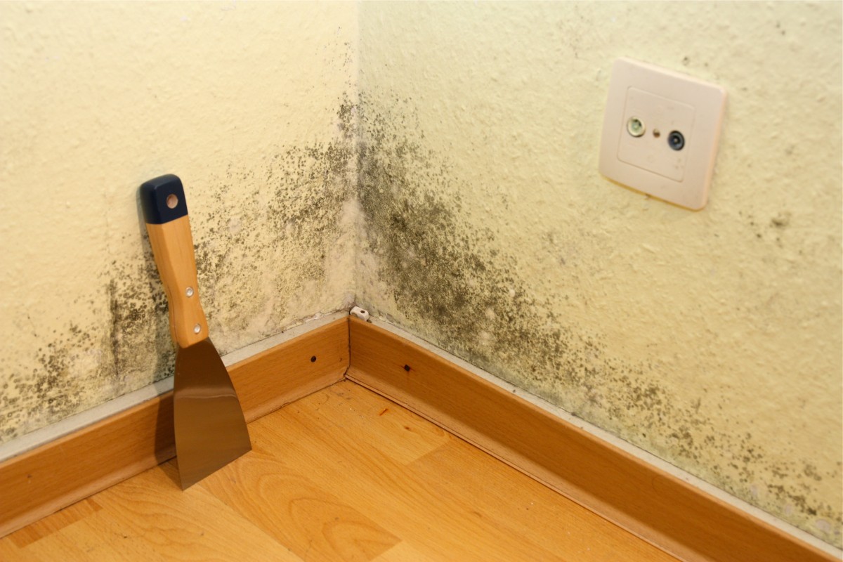 In Italia un immobile residenziale su cinque è in cattive condizioni