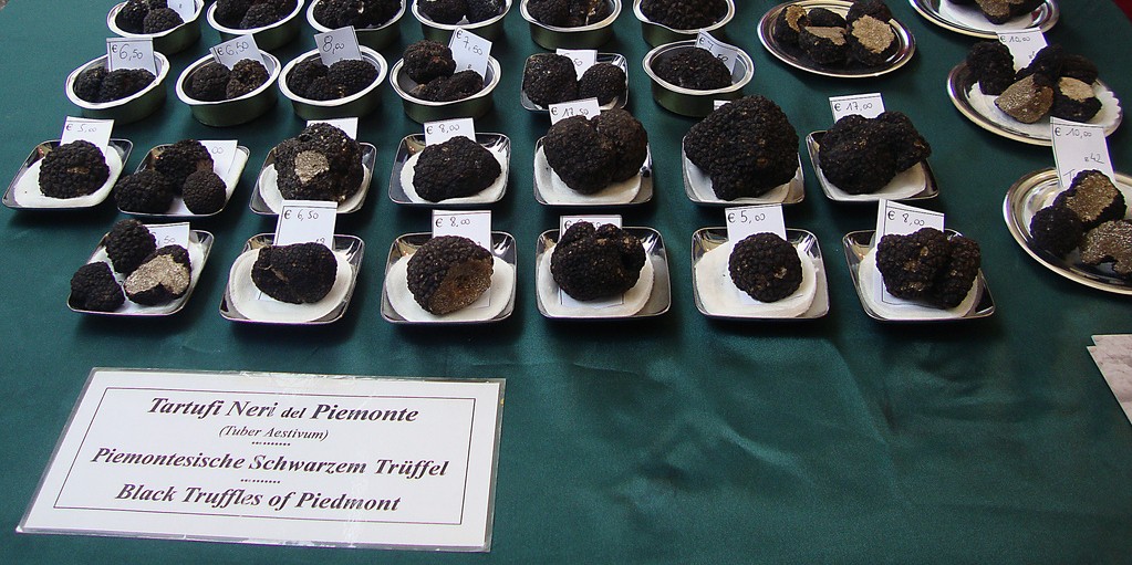 Выбор черного трюфеля / Flickr