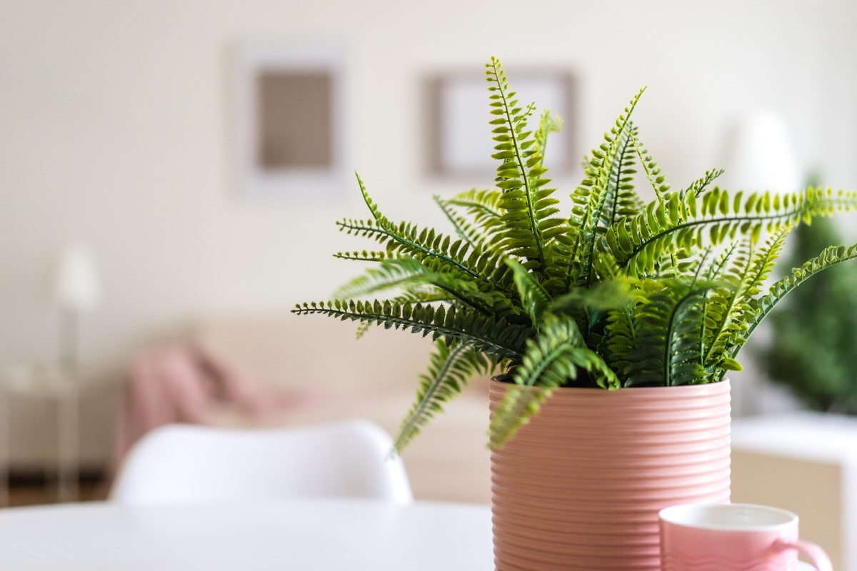 Home Staging: l’arte di vendere casa generando emozioni