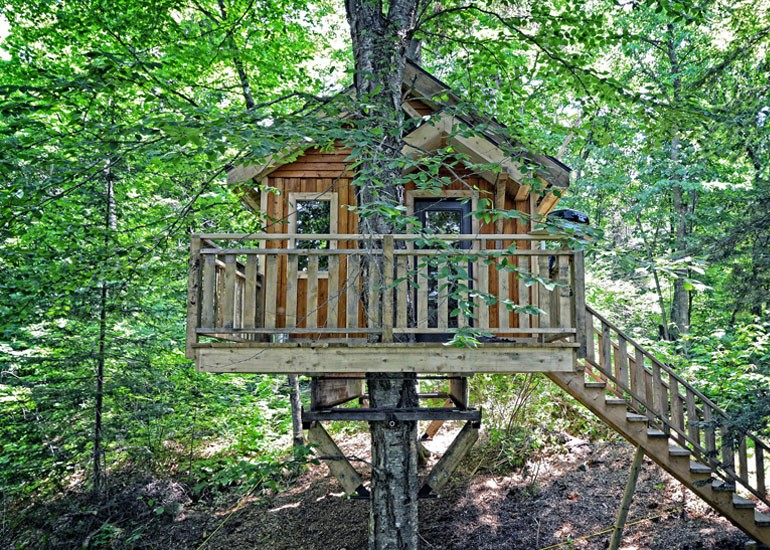 L'alloggio più rustico del mondo: capanne di legno in un parco naturale canadese