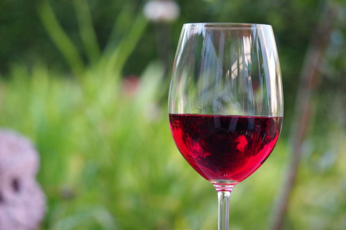 Vinho tinto italiano / Wikipedia