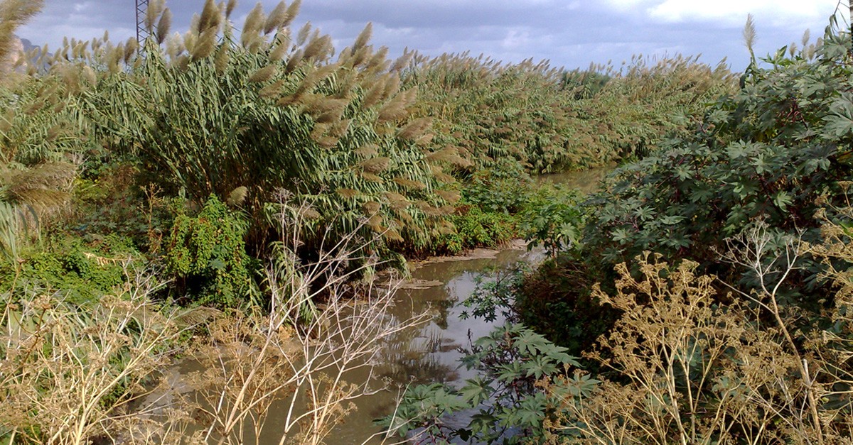 Il fiume è inquinato