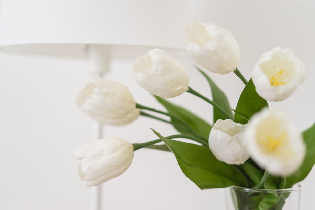 I fiori donano freschezza