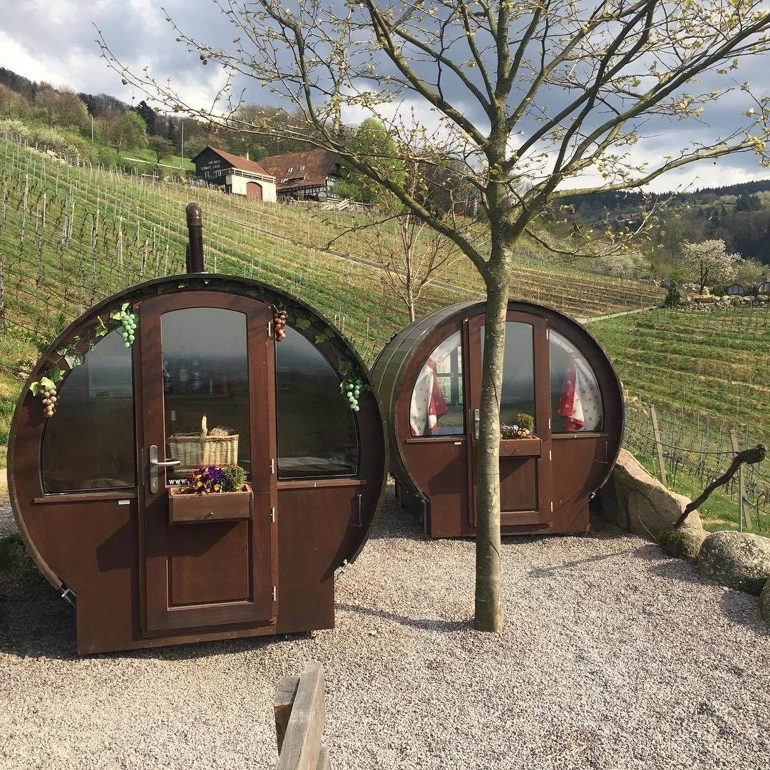 Un sogno per gli amanti del vino: vivere in un'enorme botte e circondati da vigneti