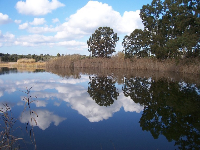 The Alimini lakes are in a protected area of 1,000 hectares / Wikipedia