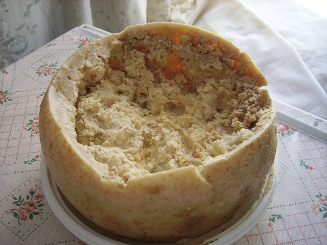 Casu marzu / Wikimedia commons