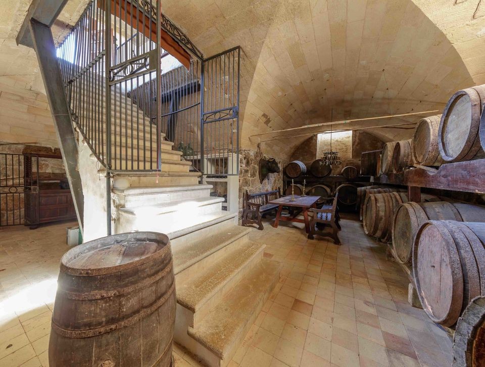 Nella proprietà ci sono vigneti e ulivi