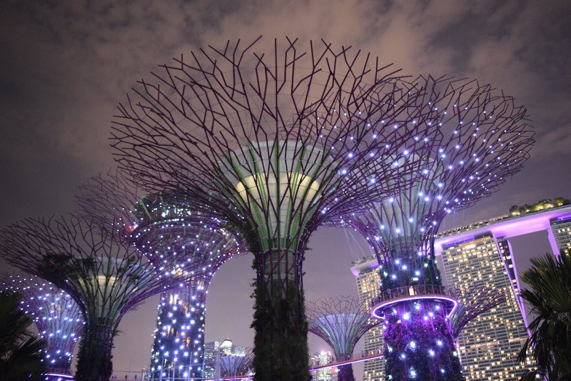 Gardens by the Bay, Singapore