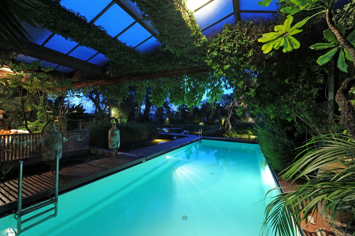 The pool coexists in harmony with the tropical greenhouse...