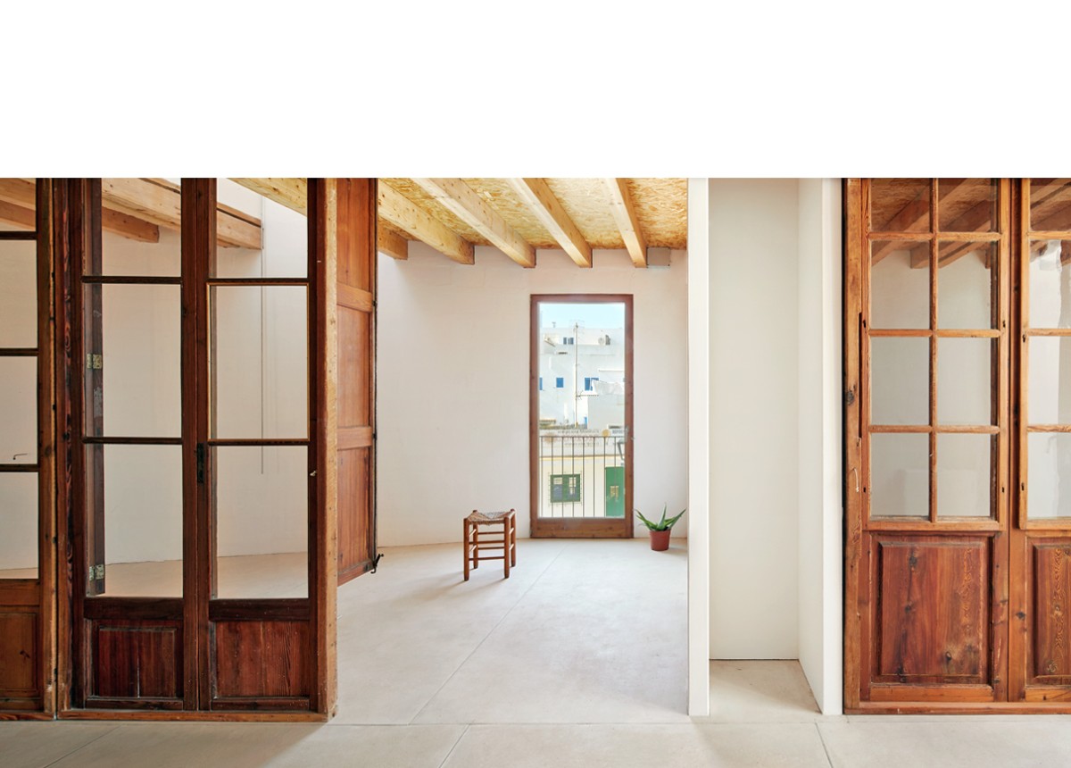 posidonia_formentera_11