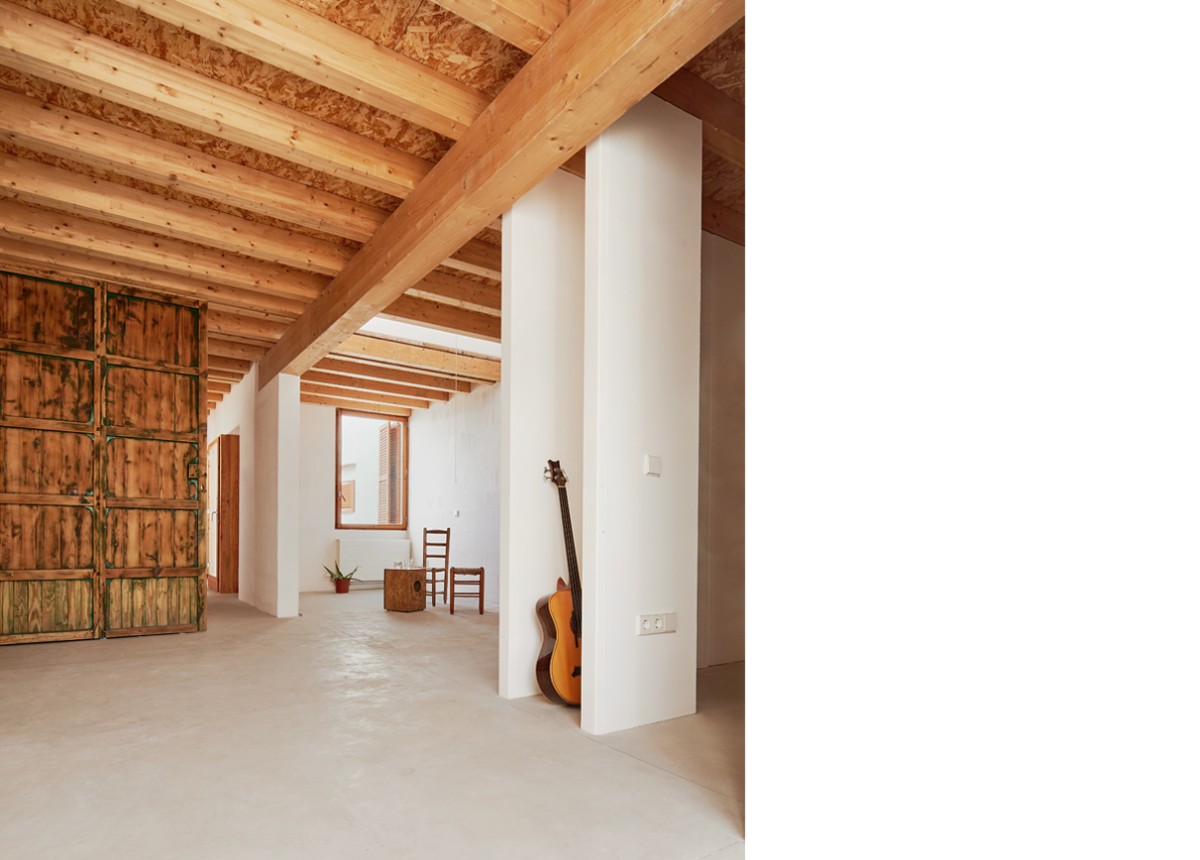 posidonia_formentera_13