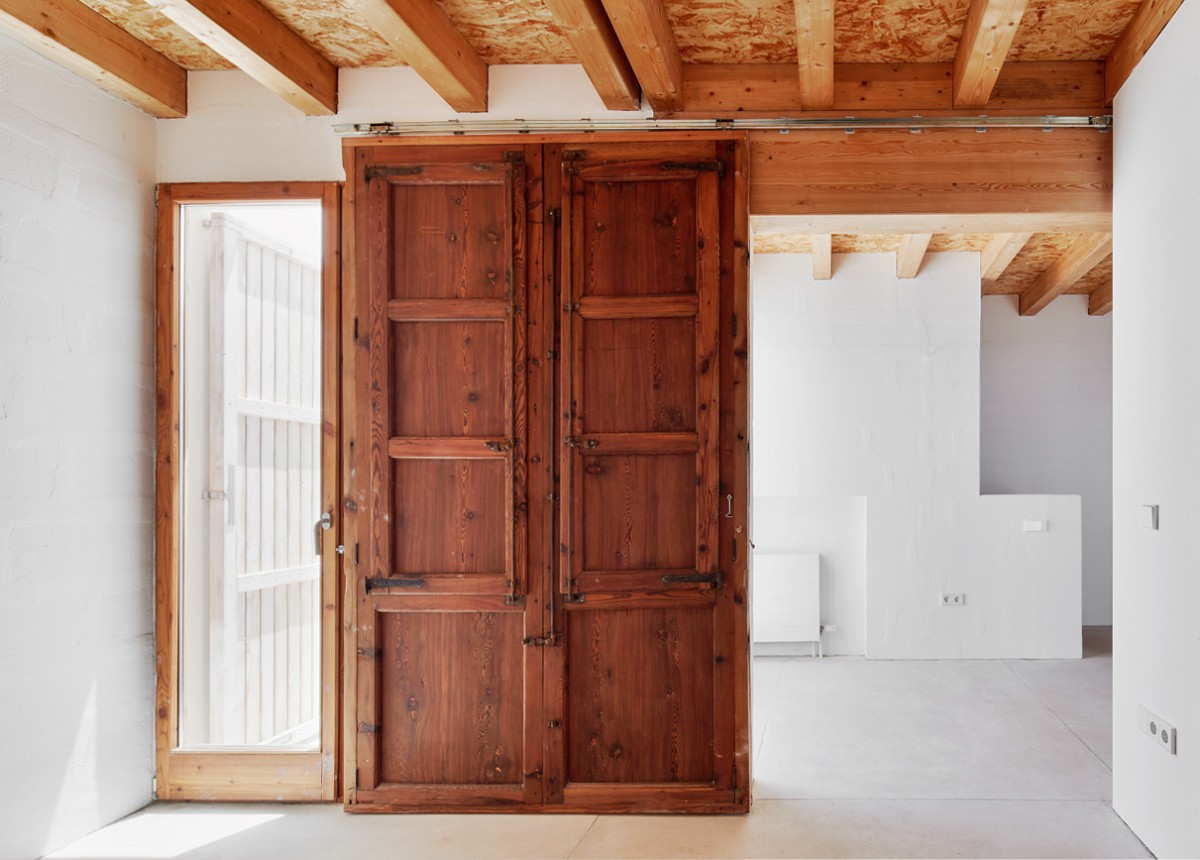 posidonia_formentera_14