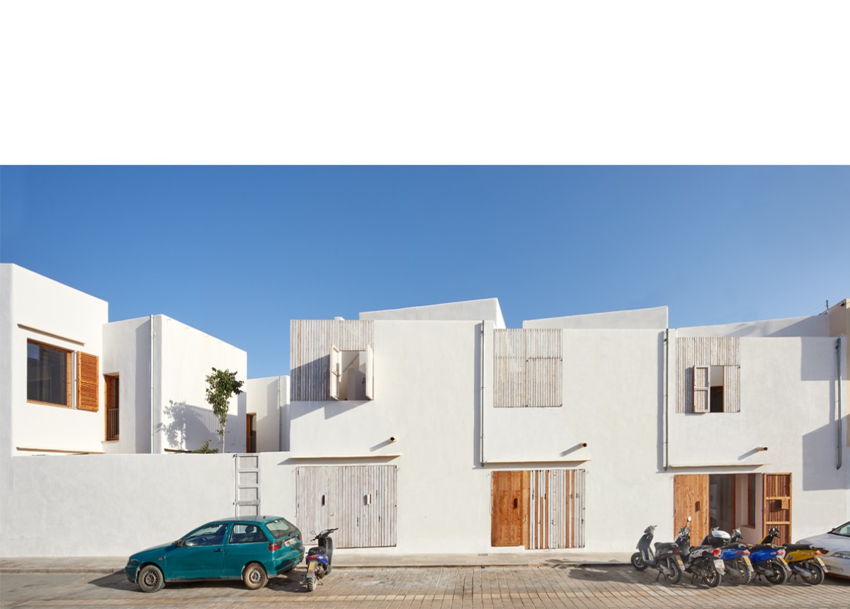 posidonia_formentera_16