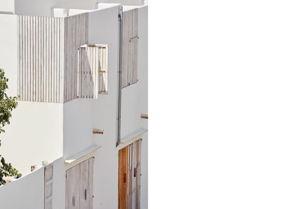 posidonia_formentera_17