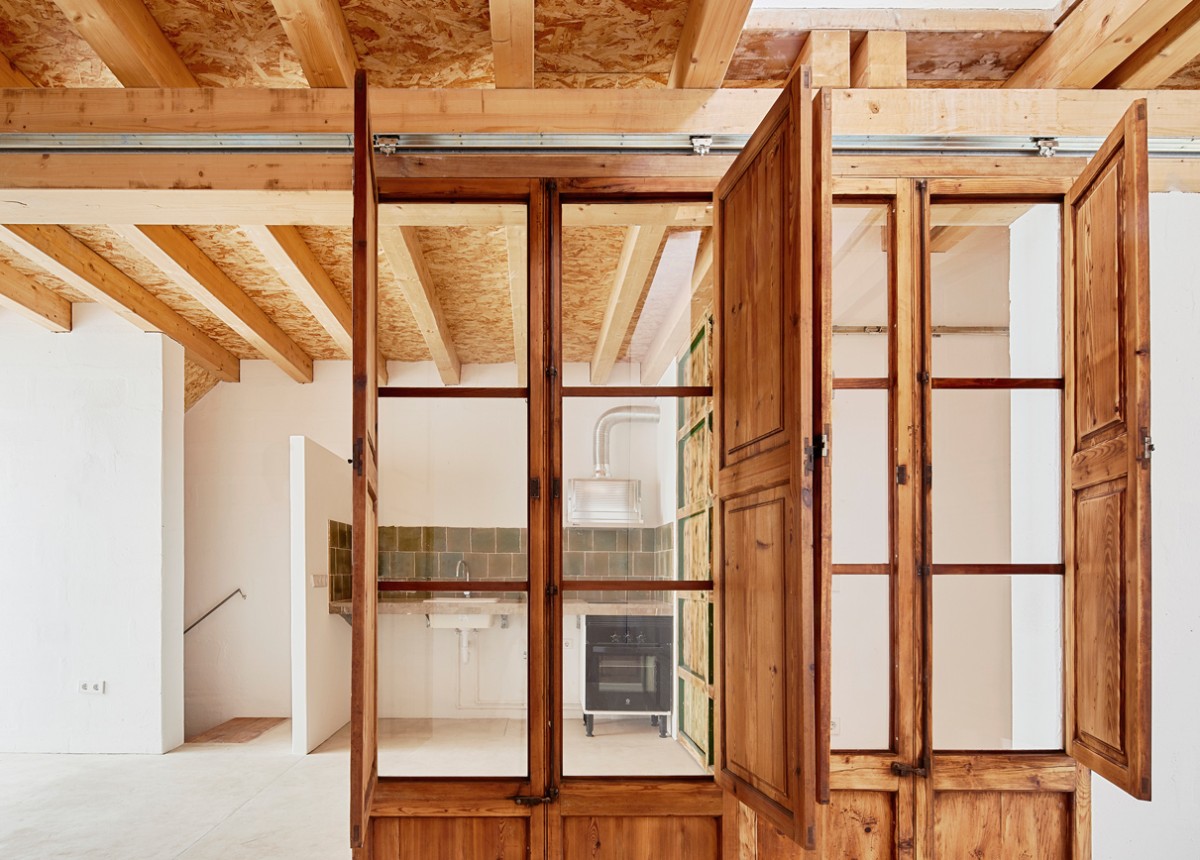 posidonia_formentera_5