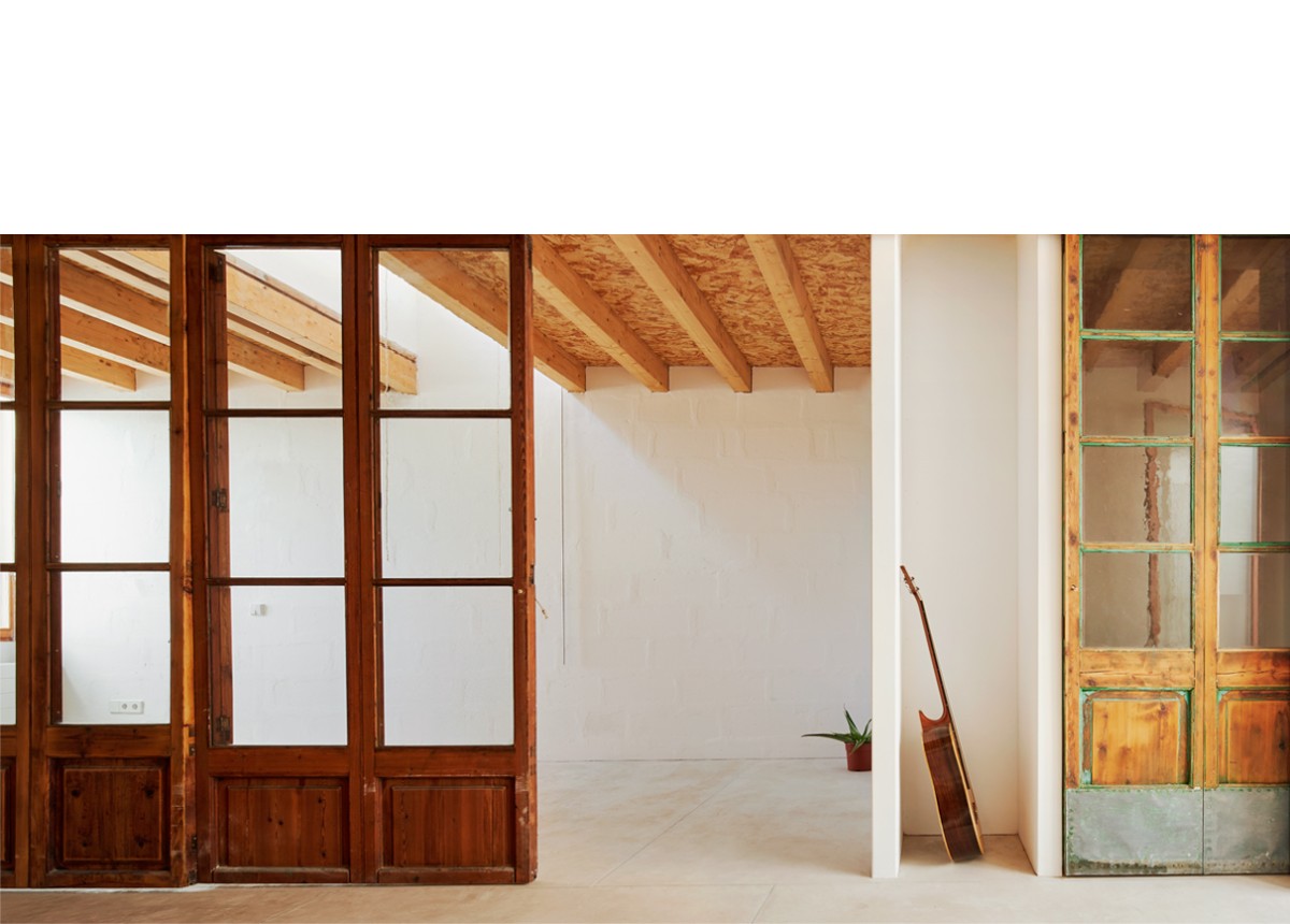 posidonia_formentera_6