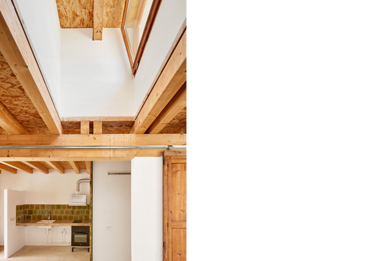 posidonia_formentera_7