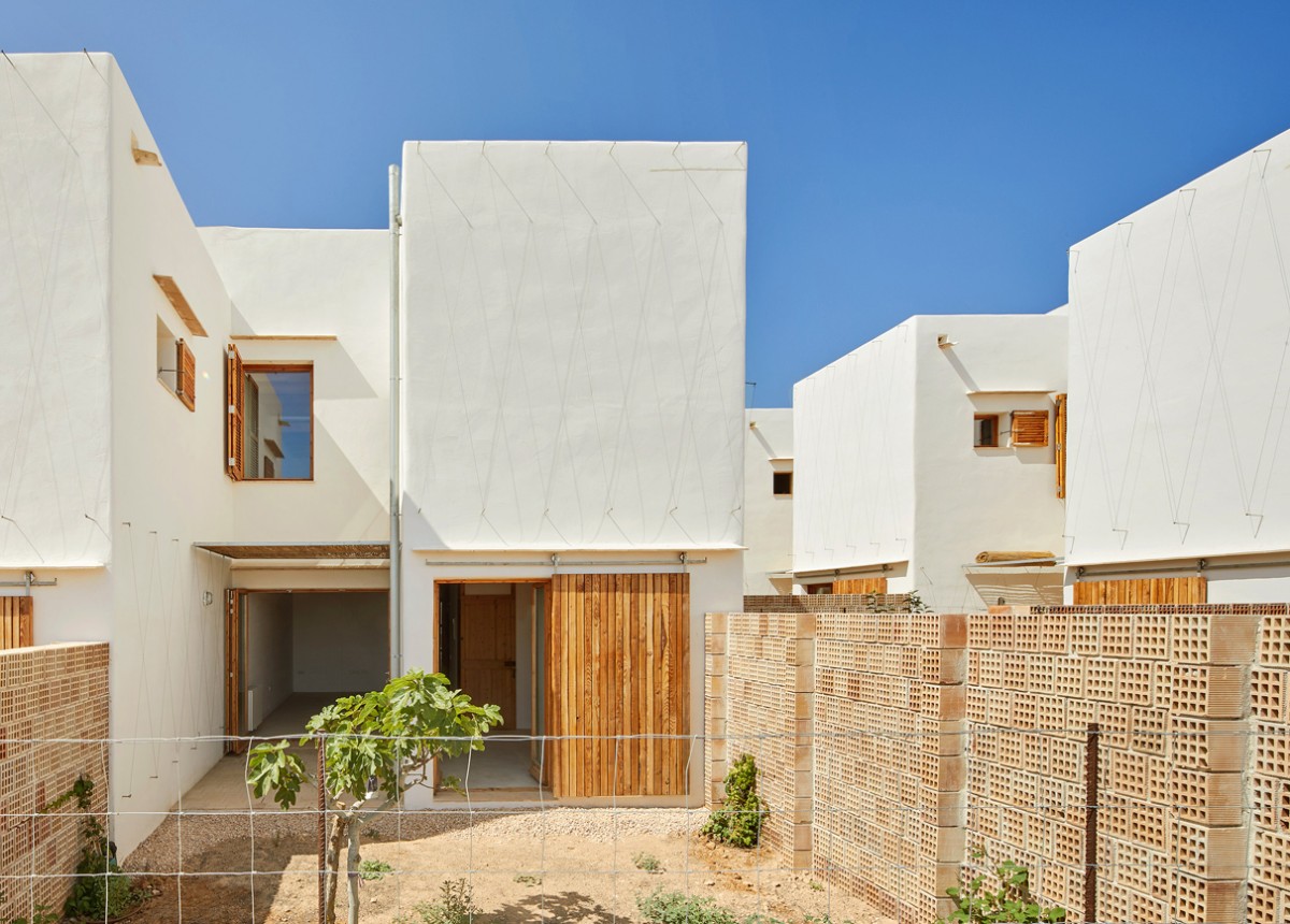 posidonia_formentera_8