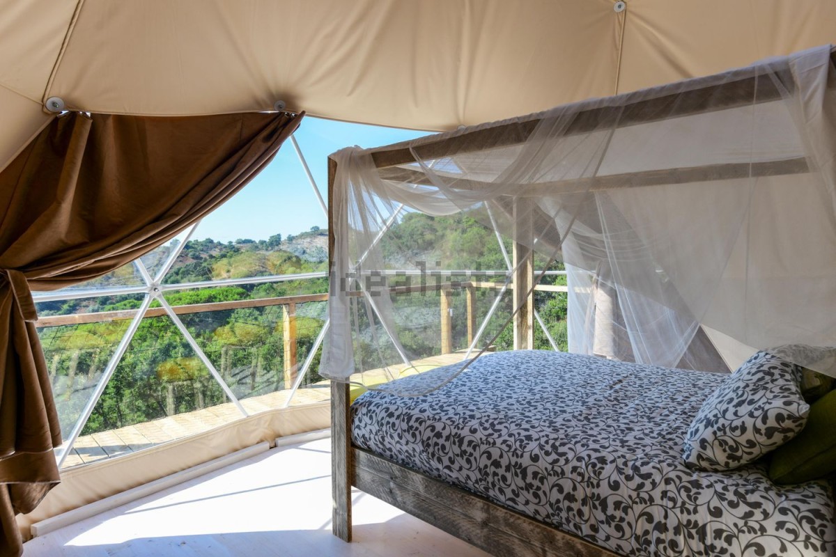 Risvegli con il verde