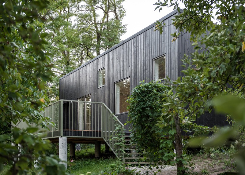 Circondato da alberi