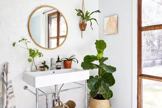 Arredare con le piante e creare un'oasi in casa propria