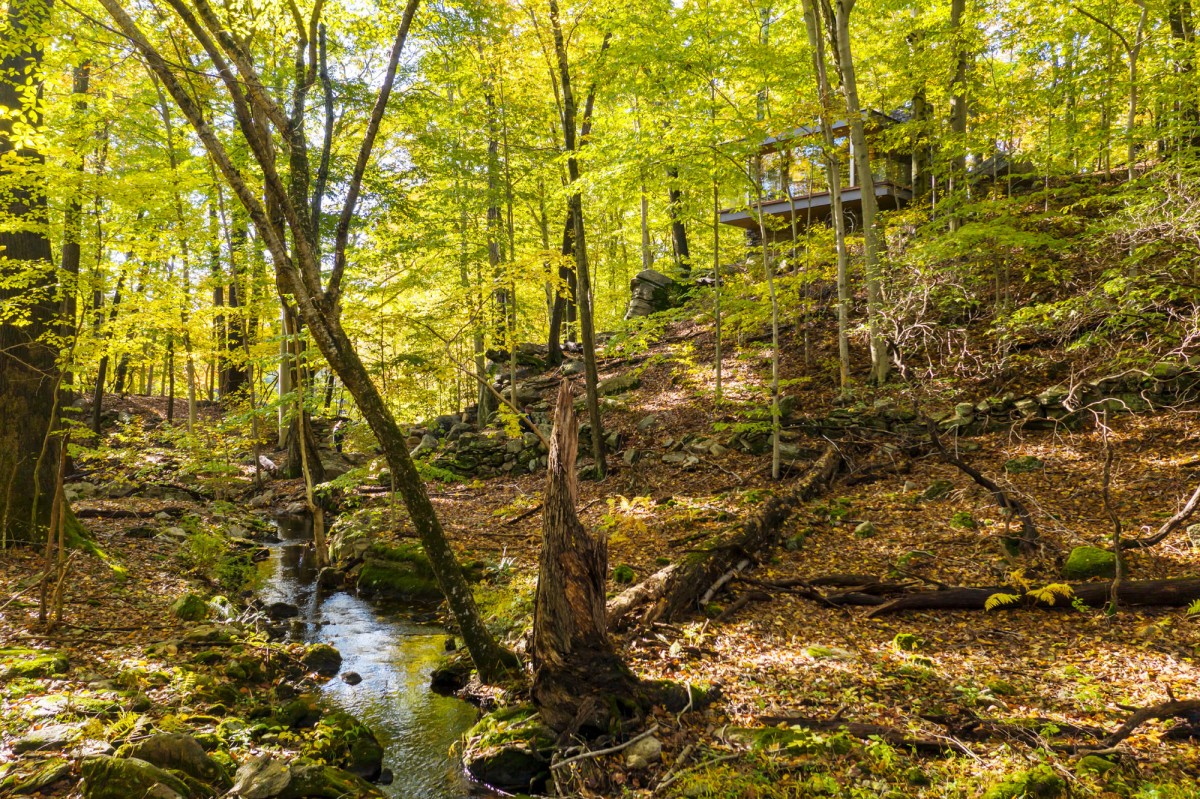 L'immobile e la natura
