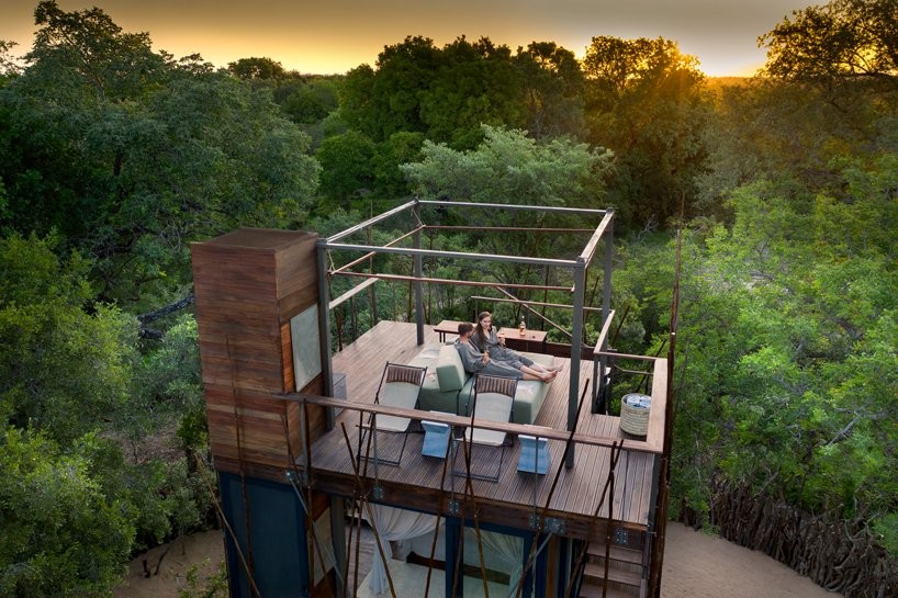 L'hotel che invita a dormire in una casa-albero nel mezzo della natura in SudAfrica