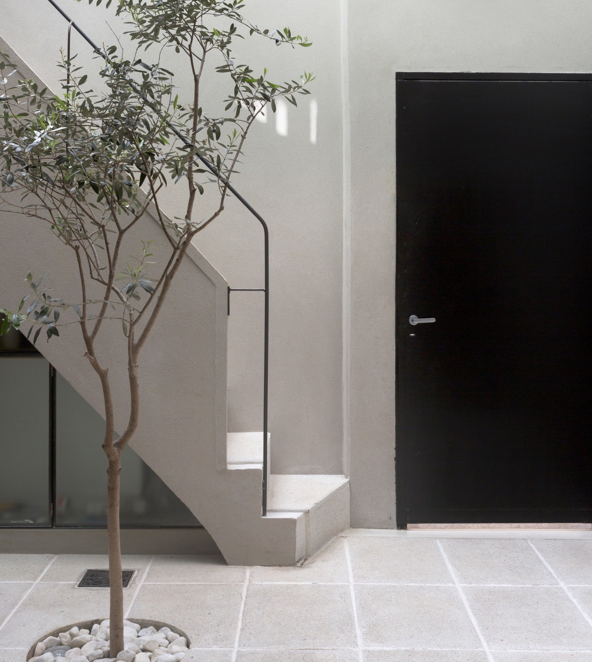 L'albero è protagonista