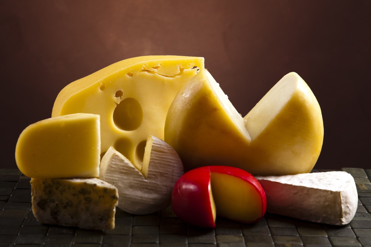 Adotta una mucca di Costalta e ricevi prodotti genuini, l'iniziativa di una Cooperativa