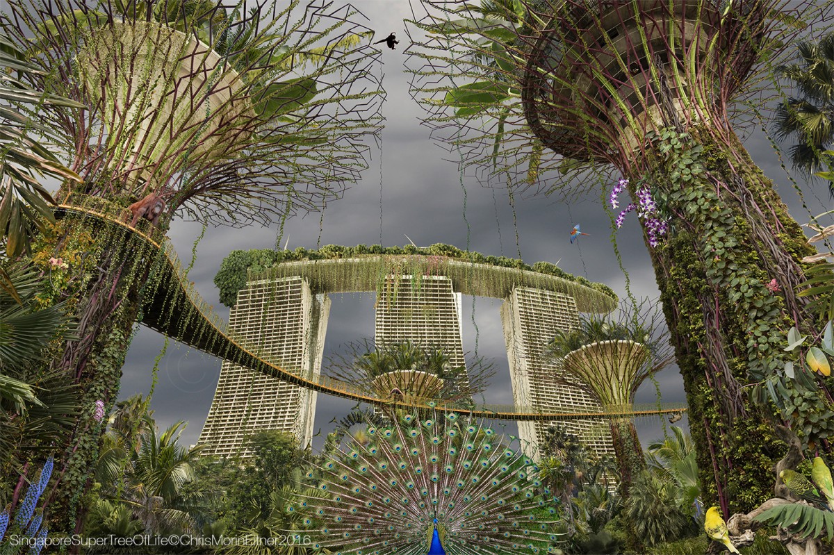 singaporesupertreeoflifecchrismorineitner2016bd