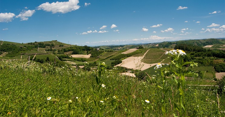 Virginia Scarsi/3.0 Unported