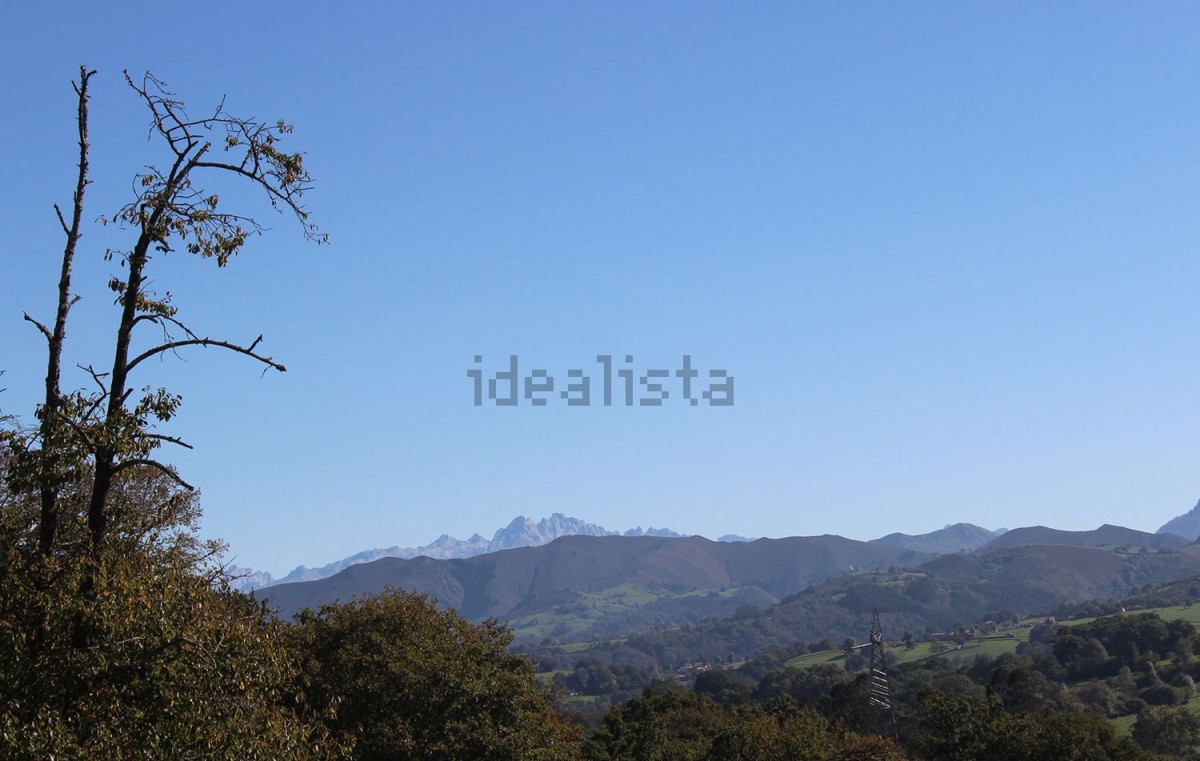 vistas