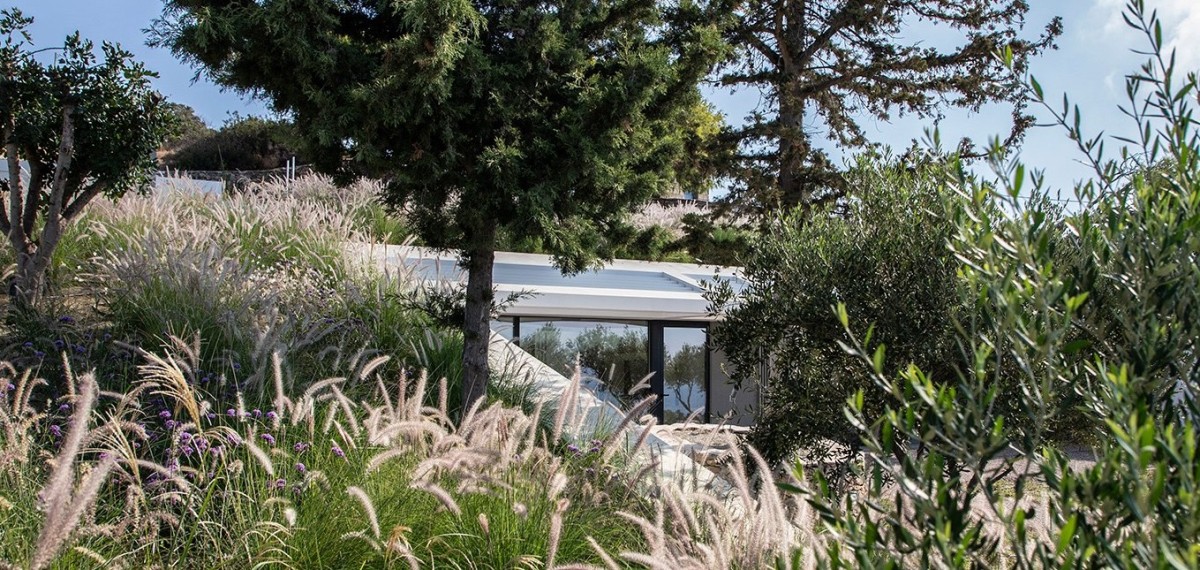 La spettacolare casa di lusso che si nasconde dietro questo rigoglioso giardino in un'isola greca