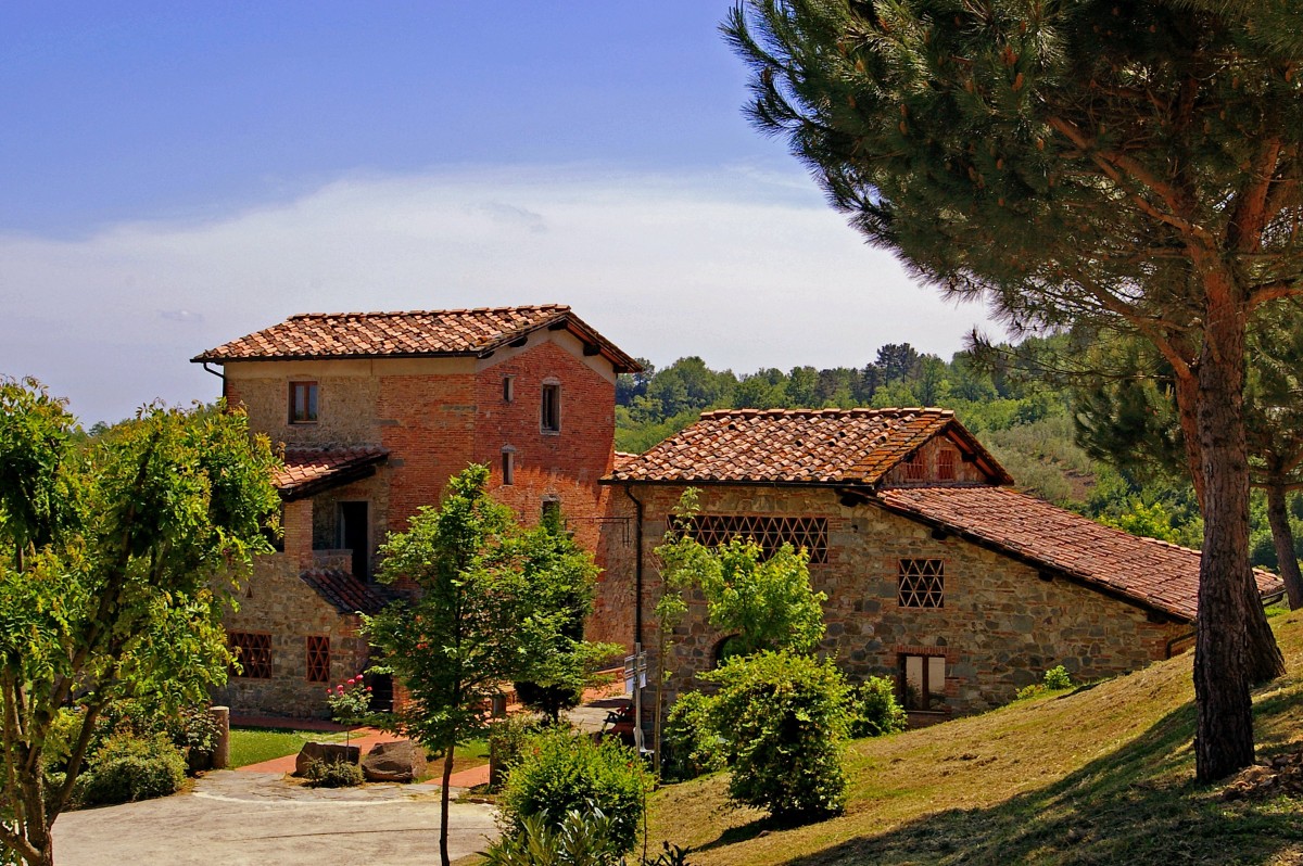 Nel mercato immobiliare post covid cresce del 29% la richiesta di case di campagna