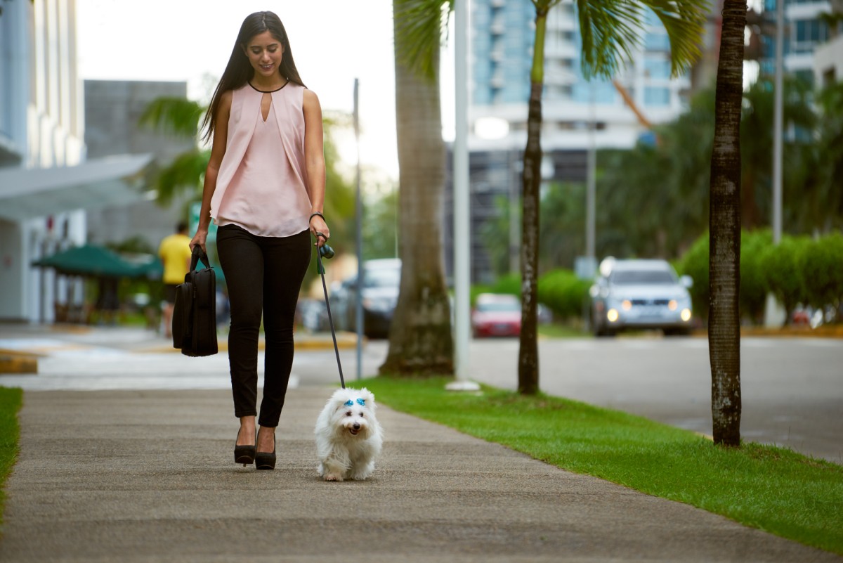 Le città più dog-friendly del mondo, ecco la classifica secondo Coya