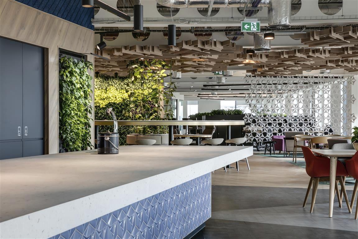 Un ufficio dal design low waste per ridurre le emissioni di carbonio al lavoro
