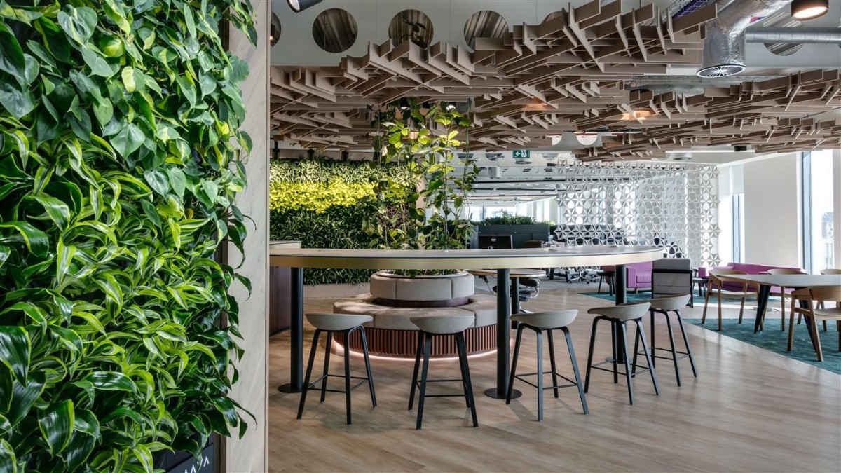 Un ufficio dal design low waste per ridurre le emissioni di carbonio al lavoro
