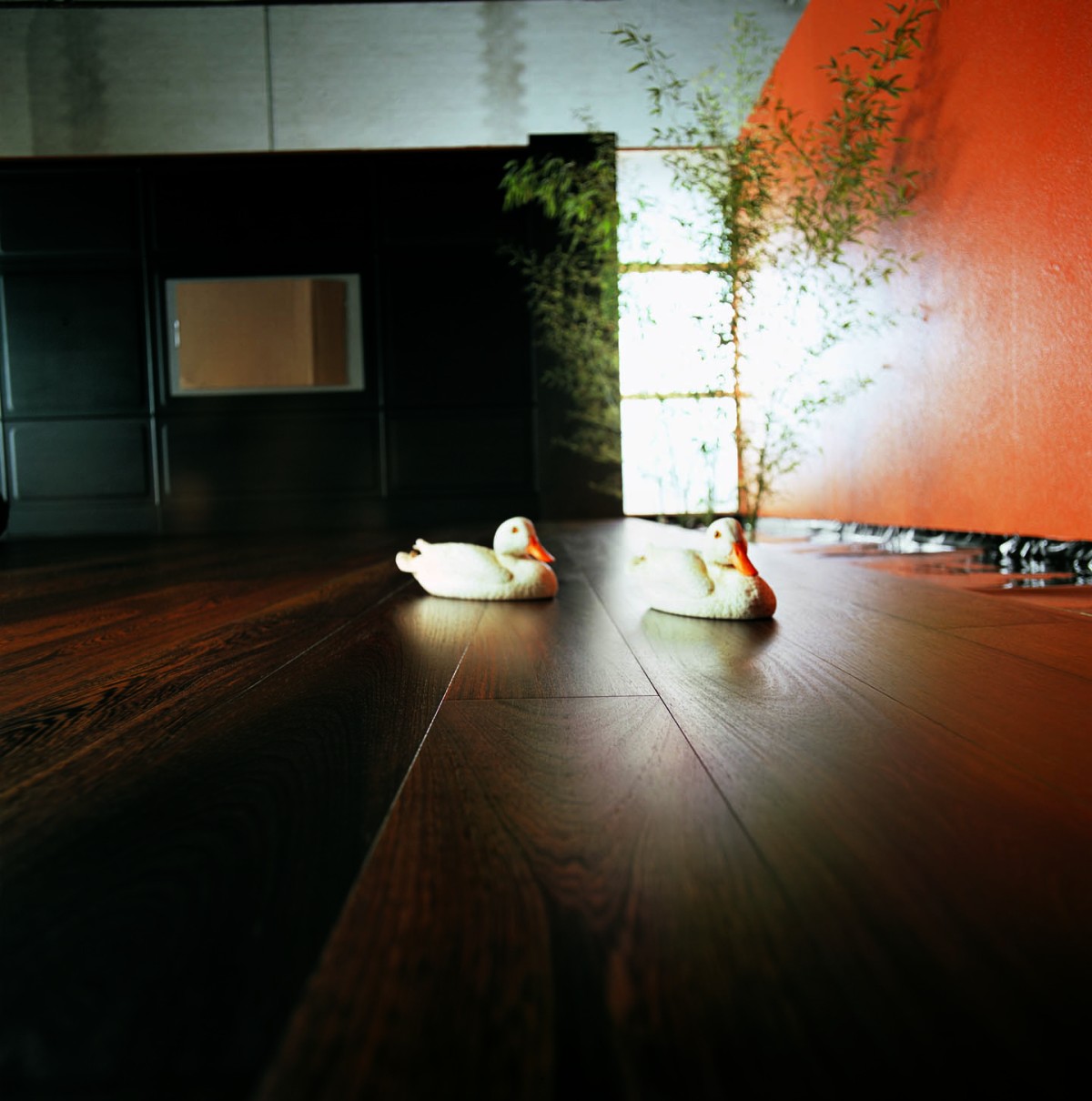 Pavimenti in legno: quando il parquet diventa la soluzione per sanificare casa