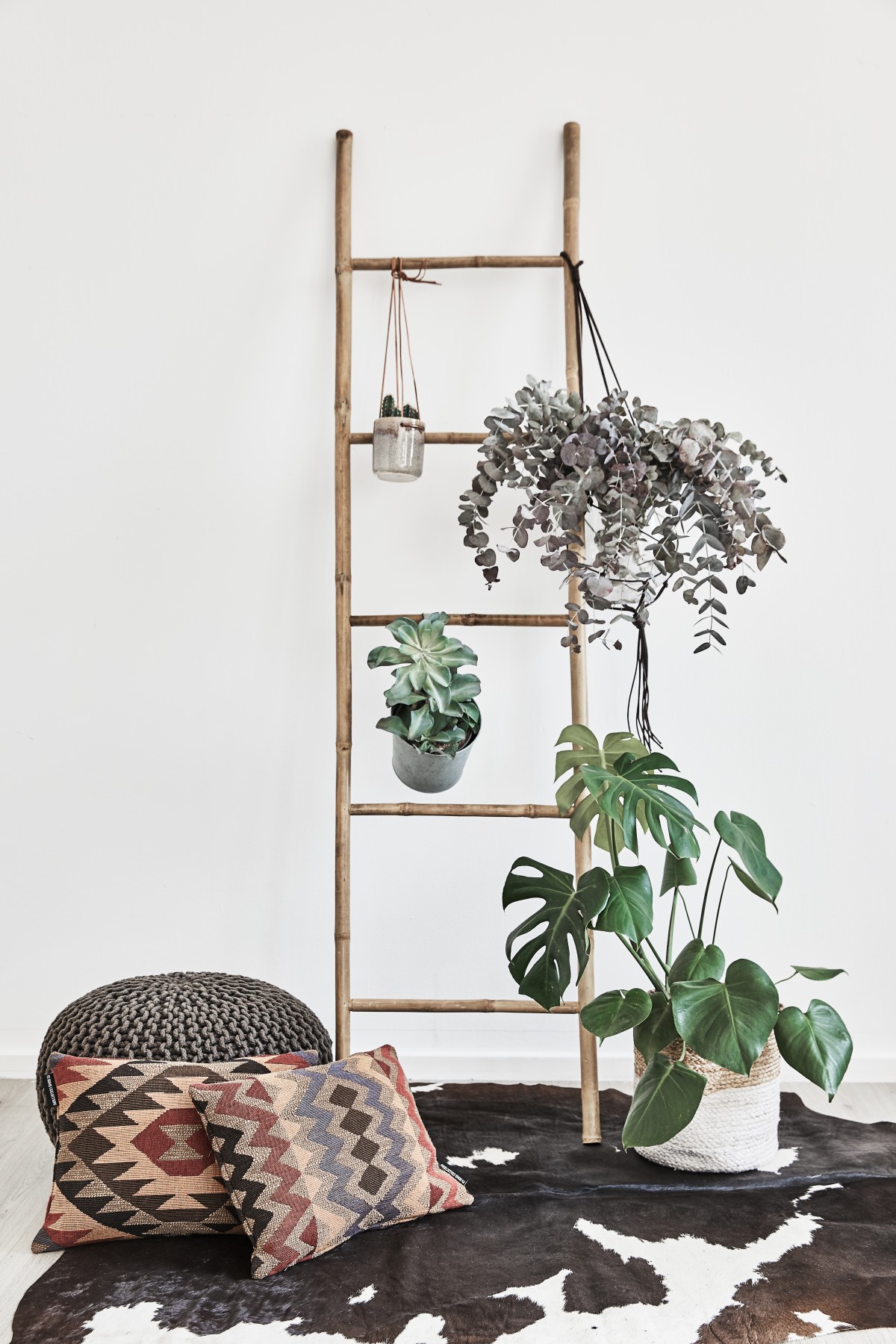 tendencias_otono_plantas_reales