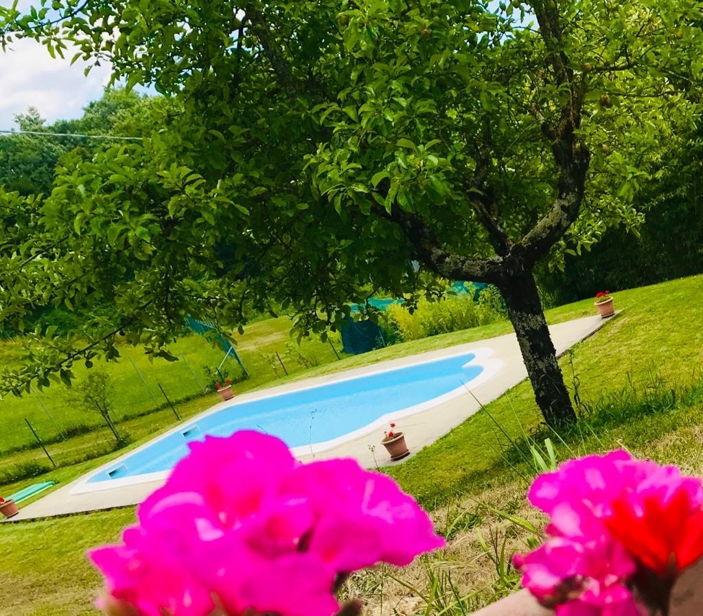 whatsapp-image-2020-07-26-at-14.24.48-4500x3000