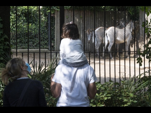 Manovra: Misiani, 8 mld base per fisco, cresceranno molto