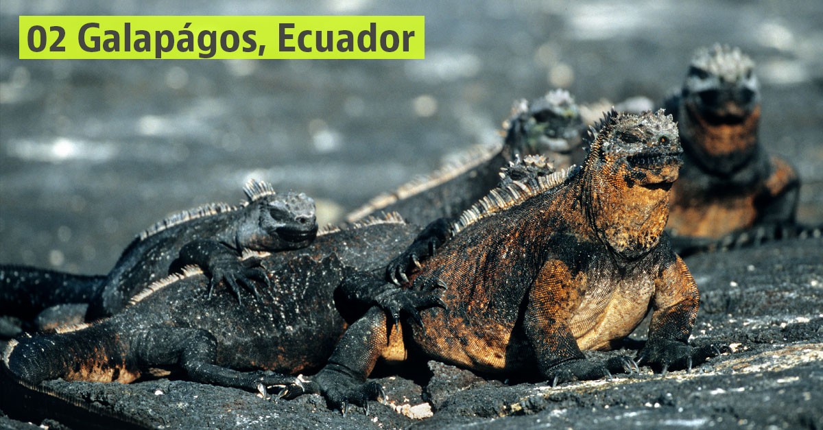 I luoghi che avremmo dovuto visitare quest’anno secondo Lonely Planet